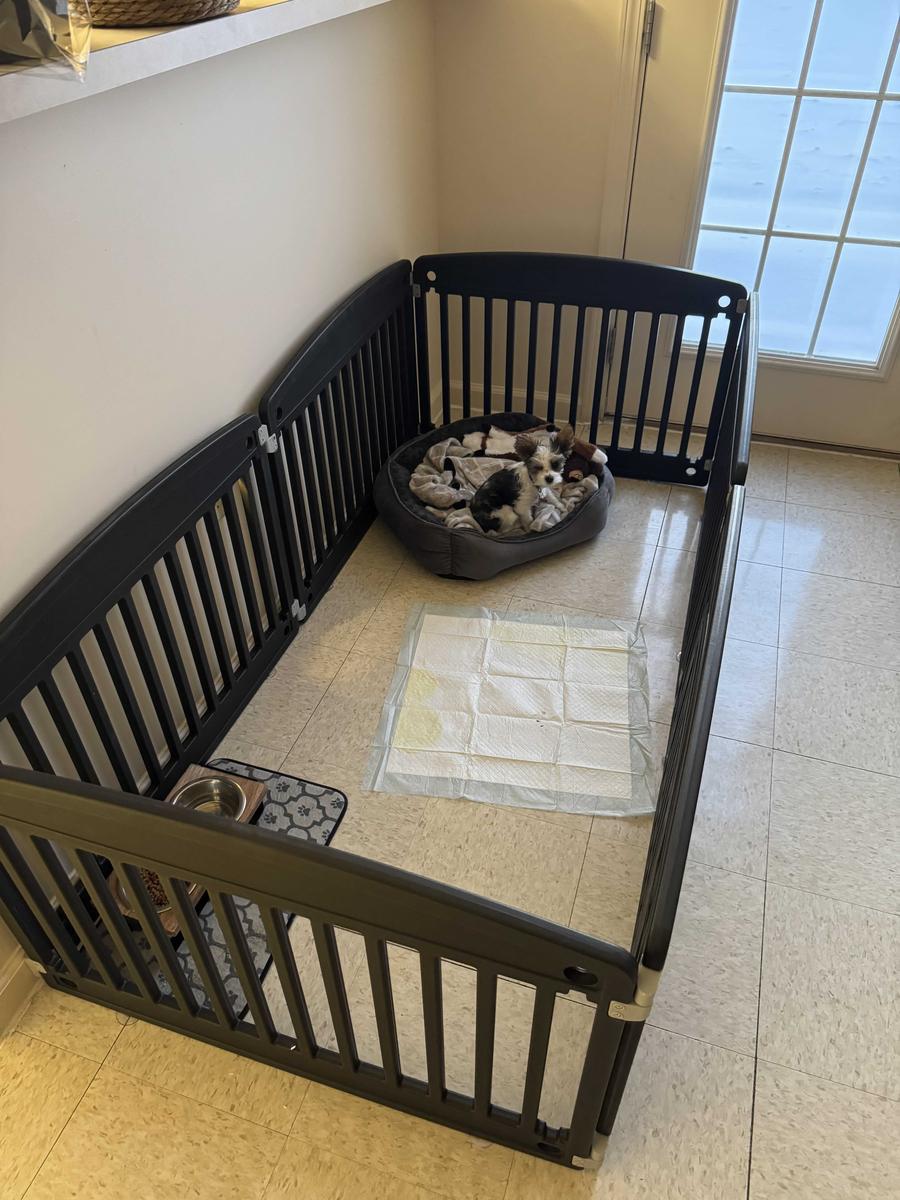 Item: Black & 6-Panel 24"