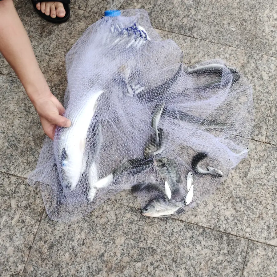 Saltwater American Fishing Cast Net 3/8inch Mesh Size for Bait Shrimp Trap Fish Heavy Duty Sinkers Throw Net 3FT/4FT/5FT/6FT/7FT/8FT/9FT/10FT Radius - TikTok Shop Saltwater American Fishing Cast Net 3/8inch Mesh Size for Bait Shrimp Trap Fish Heavy Duty Sinkers Throw Net 3FT/4FT/5FT/6FT/7FT/8FT/9FT/10FT Radius - TikTok Shop