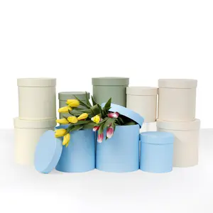 Set of 3, Round Flower/Gift Boxes with Lids, Plastic Liner, Beige/Pastel Yellow/Baby Blue/Sage Green | W730