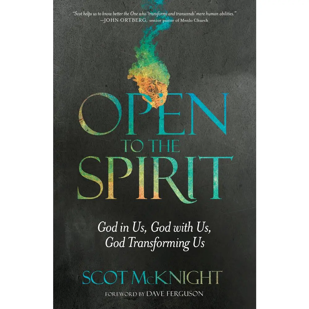 USED-Open to the Spirit: God in Us, God with Us, God Transforming Us by McKnight, Scot (Paperback)
