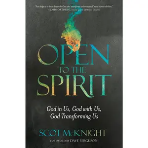 USED-Open to the Spirit: God in Us, God with Us, God Transforming Us by McKnight, Scot (Paperback)