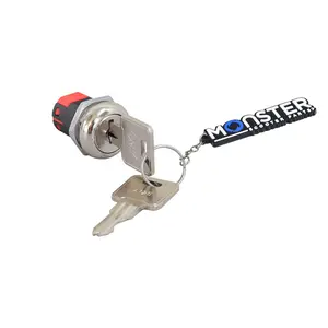 Key Switch with Standard Metal Head Keys for Amigo, Go-Go, and Pride Mobility Scooters (SWTKEY1011)