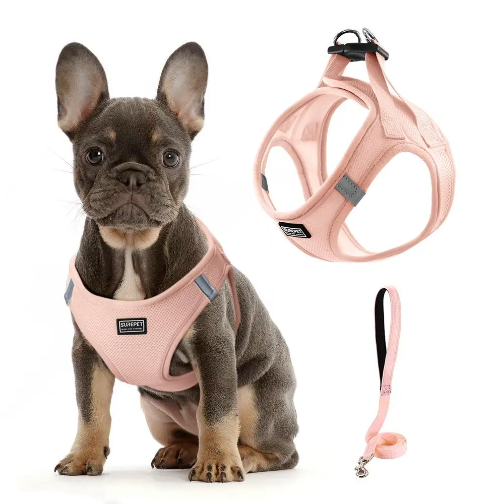 Pet Traction Rope Set, 1 Set Breathable Pet Chest Strap, Adjustable Pet Harness, Pet Supplies for Small and Medium-sized Dogs & Cats