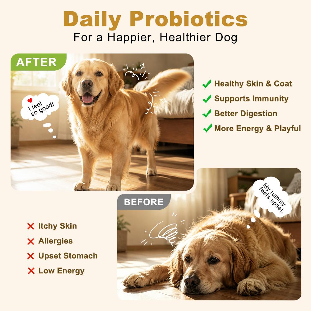 Dog Probiotic Palatable Chews - 180 Multi-Strains Soft Chews with Cod Fish, MCT Oil, GOS, Pumpkin & Chicken Flavor - Supports Immune Boost, Skin & Coat Health, Digestive Balance - For All Breeds Senior Dogs - 24 Months Shelf Life