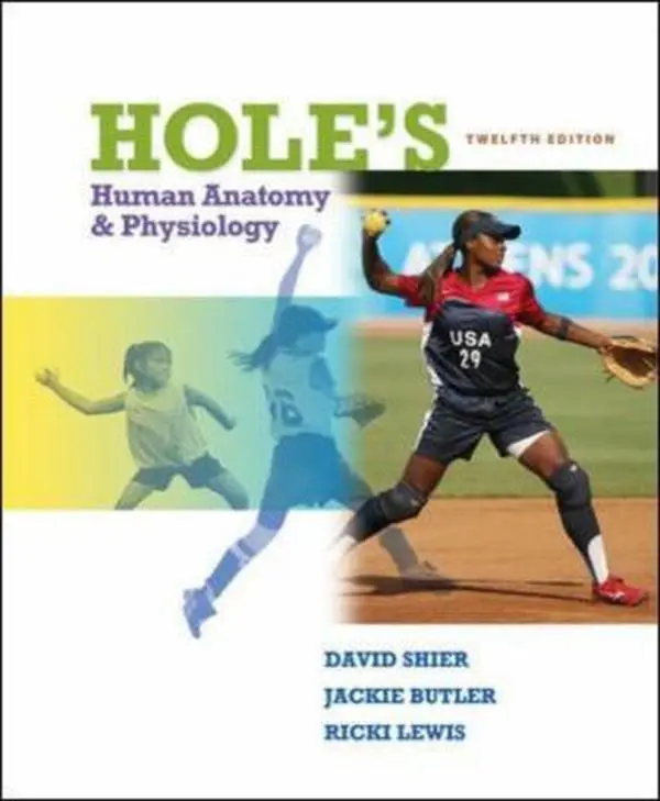 USED-Hole's Human Anatomy & Physiology by David Shier (Hardcover)