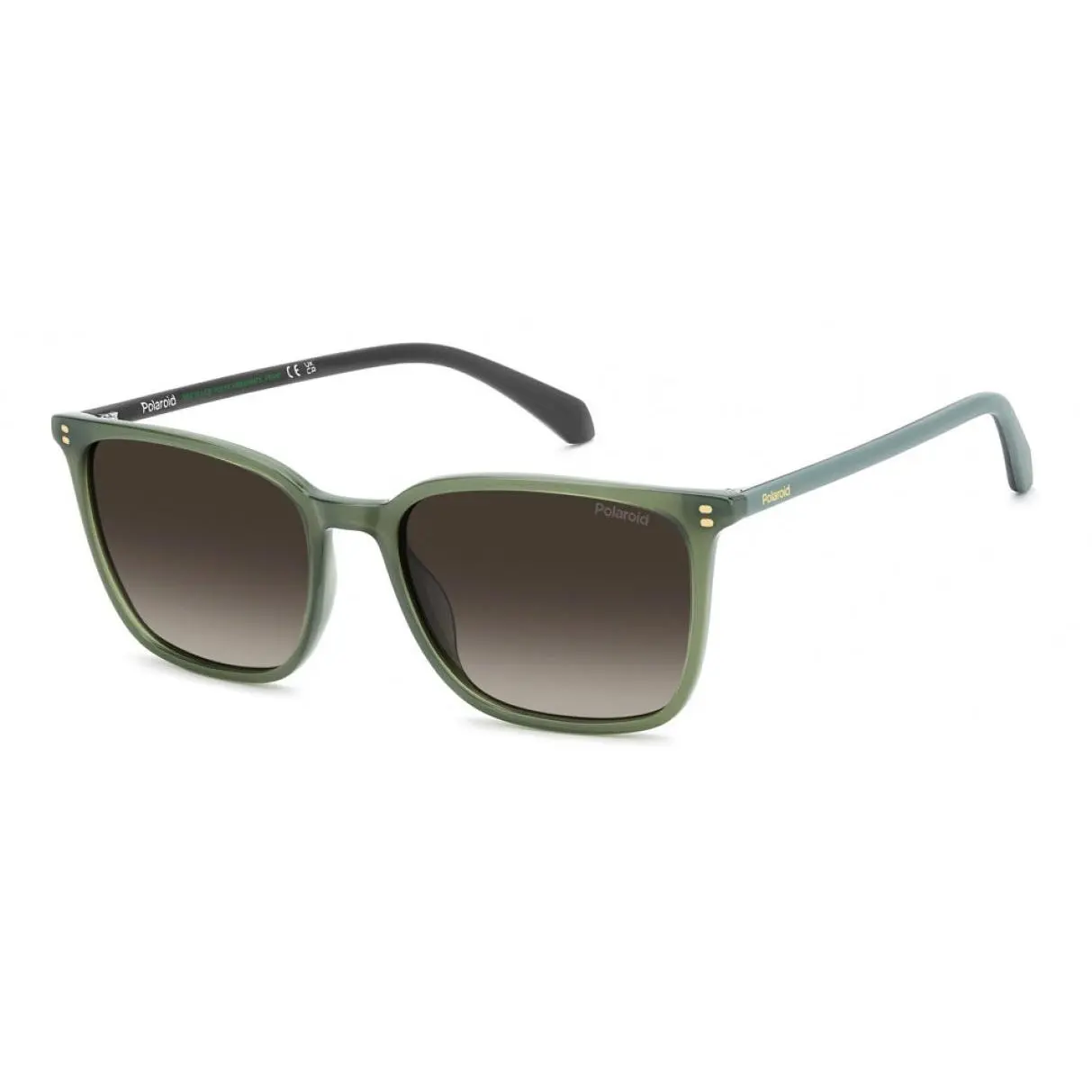 Polaroid Core PLD4207 Sunglasses