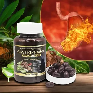 Gastriprasol Suplemento Herbal Con Sabila Y Cuachalalate 60 Softgels – Gastriprasol Suplemento Herbal con Sábila y Cuachalalate 60 Softgels