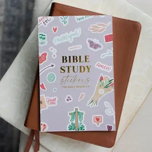 The Daily Grace Co. Bible Study Stickers Goodness and Mercy Edition 600 Hand-Lettered Inspirational Quotes & Illustrations for Journaling Planner