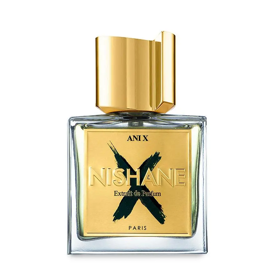 Ani X