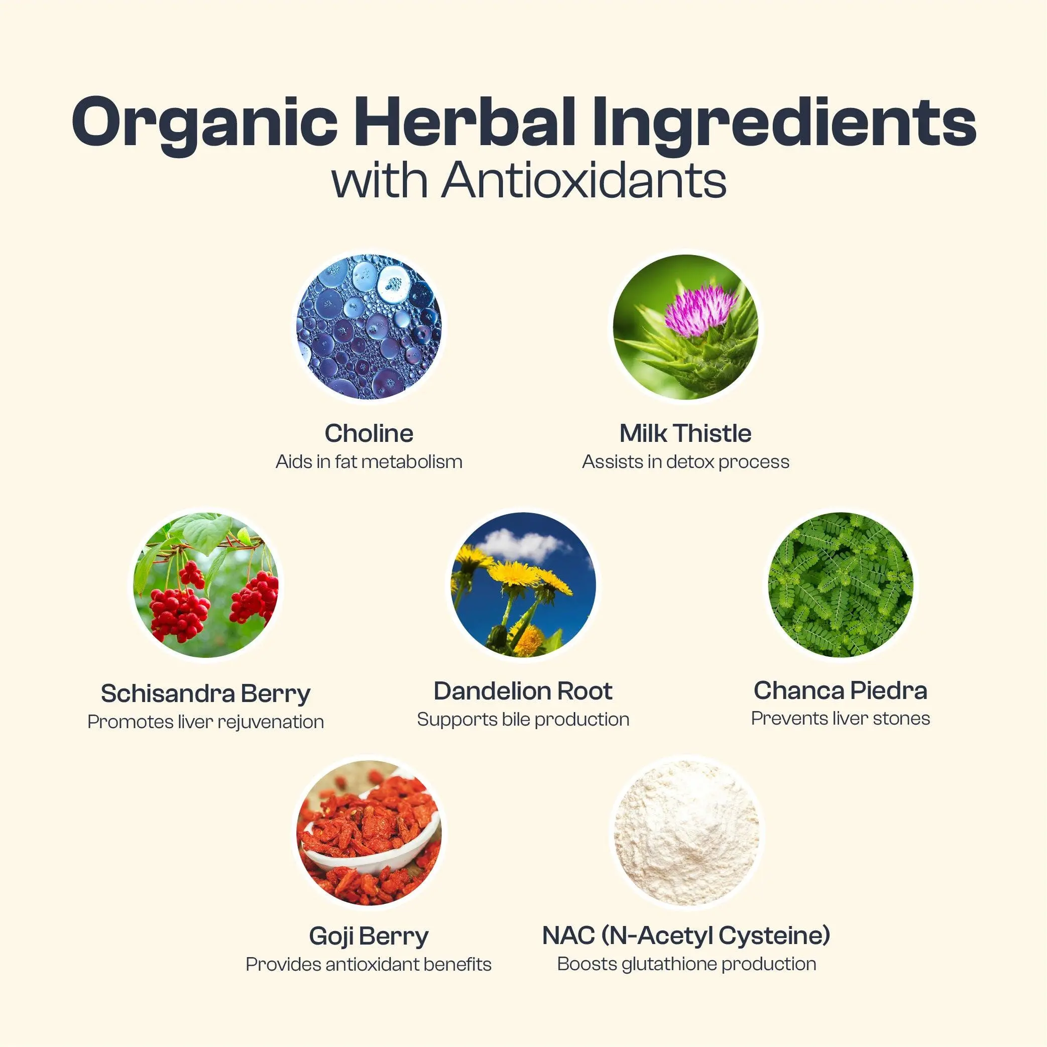 My Vida Origins Liver Detox with Organic Milk Thistle Organic Dandelion  Extract and Choline with NAC  Liver Detox 120 capsules 3 Month Supply -  TikTok Shop