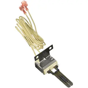 Jandy Pro Series Ignitor | R0386900