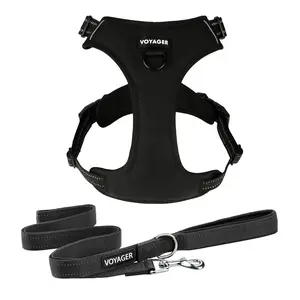 Voyager No Pull Dual-Attachment Dog Harness and Leash Set - Front & Back Clip Training Combo for Small Medium Large Dogs | Anti-Pull Walking Kit by Best Pet Supplies