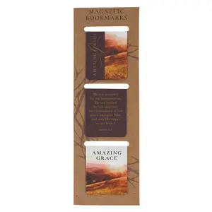 Amazing Grace Die-cut Magnetic Bookmark Set - Isaiah 53:3 tiktokshopspringglowup