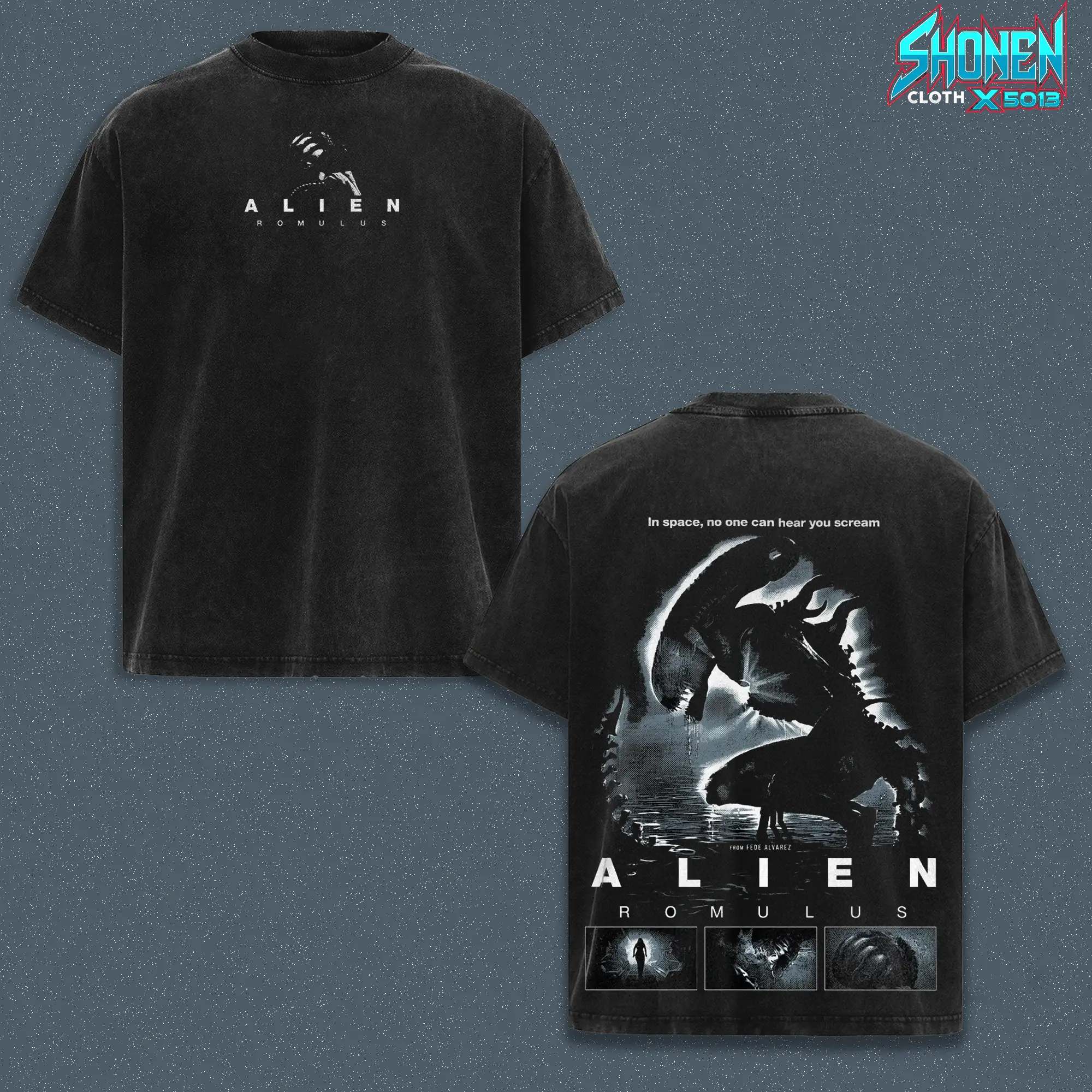 Alien Romulus Vintage Wash Heavyweight Blank, Xenomorph Sci-Fi Horror Movie Graphic Boxy Tee, Sun Faded Charcoal Streetwear Drop Shoulder Style, Fede Alvarez Film Merch