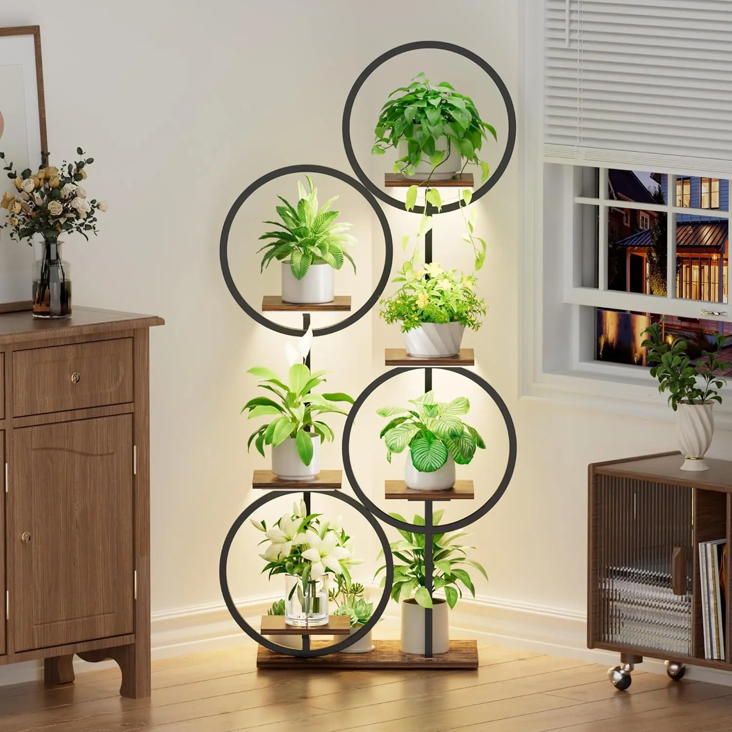 windmill palm planting Windmill Palm – Lichtenfelt's