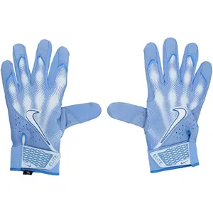 Pete Alonso New York Mets Player-Issued Blue Nike Batting Gloves from the 2025 MLB Season - Fanatics Authentic Certified