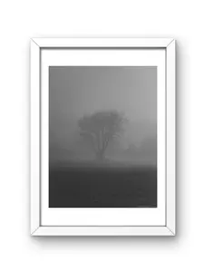 Framed fine art photography Moody tree Decor Decoration