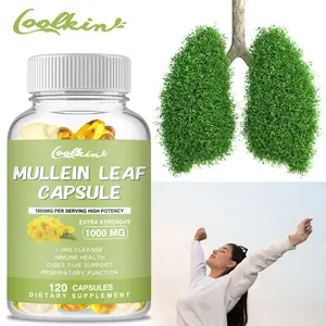 Coolkin Mullein Leaf Capsules 120 capsules, 1000 mg, premium raw material extract, supports respiratory, digestive and immune health.