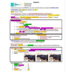 NAVLE Study Guide - Comprehensive NAVLE Study Notes of all Species - Ace the Veterinary Licensing Exam