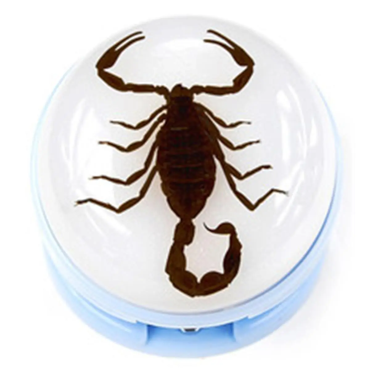 212 MAIN Ed Speldy East Blue Office Stapler with Real Scorpion in Acrylic Base, Includes 1000 Staples