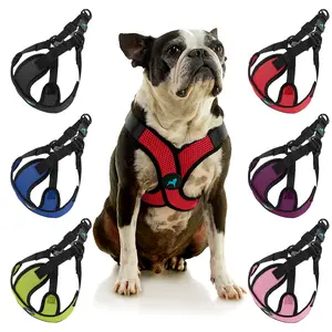 Gooby Comfort X Step In Lite Dog Harness with Breathable Mesh