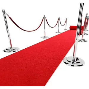 3x10 ft Extra Thick Heavy-Duty Red Carpet Runner for Party Events Festival Celebration Prom Proposal Wedding Graduation Award Ceremony VIP Reception