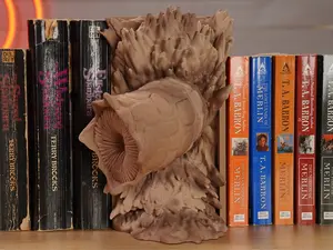 Dune Book Nook Desk or Bookshelves Enhances Aesthetic and Display Space Unique Artistic Design for Reading Enthusiasts