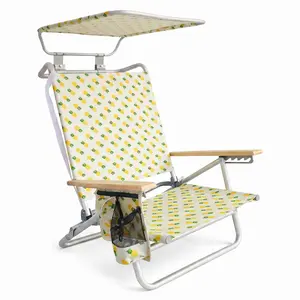 Bliss Hammocks Folding Beach Chair, Backpack Recliner with Canopy, Pineapple