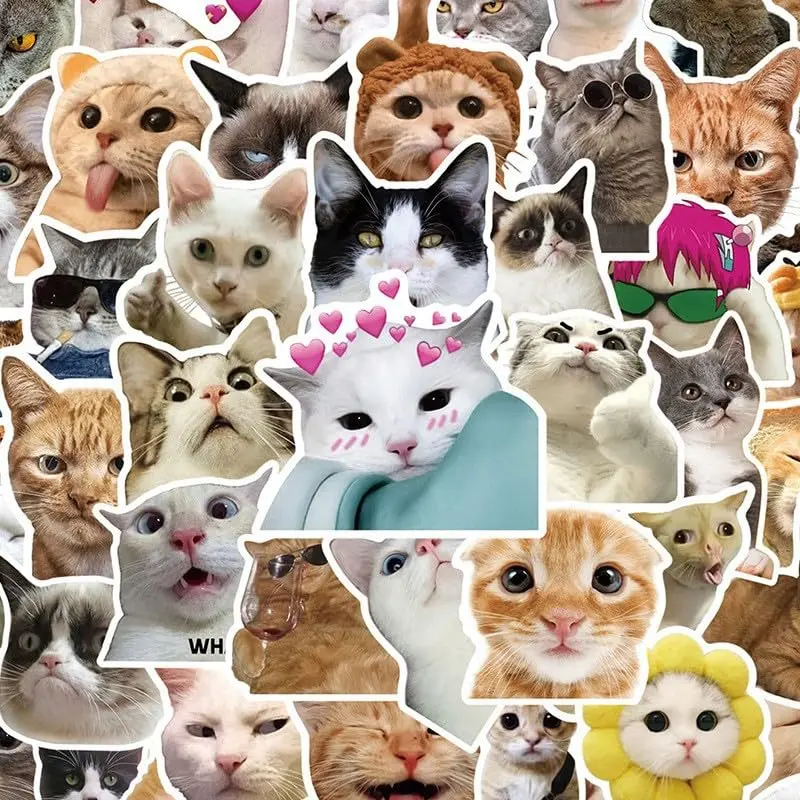 100-Pack Funny Cat Stickers Set, Decor Decals to Personalize Water Bottles, Notebooks & Suitcases, Cute Home Decor Stickers