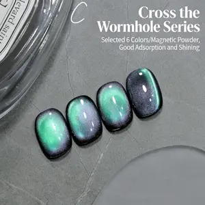 FZHI NAIL Cross the Wormhole Series Travel Collection 6 Colors Magnetic Powder Good Adsorption Shining Nail Art
