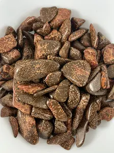 Natural Tumbled Star Jasper Crystal - 1 Piece