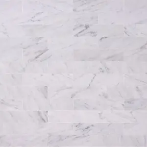 Carrara White 2x8 Subway Polished/Honed Marble Tile Sample
