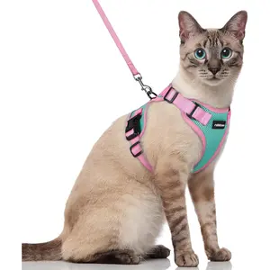 rabbitgoo Fusion Adjustable cat harness and leash set, Escape Proof Soft Adjustable Vest Harnesses for Outdoor Walking