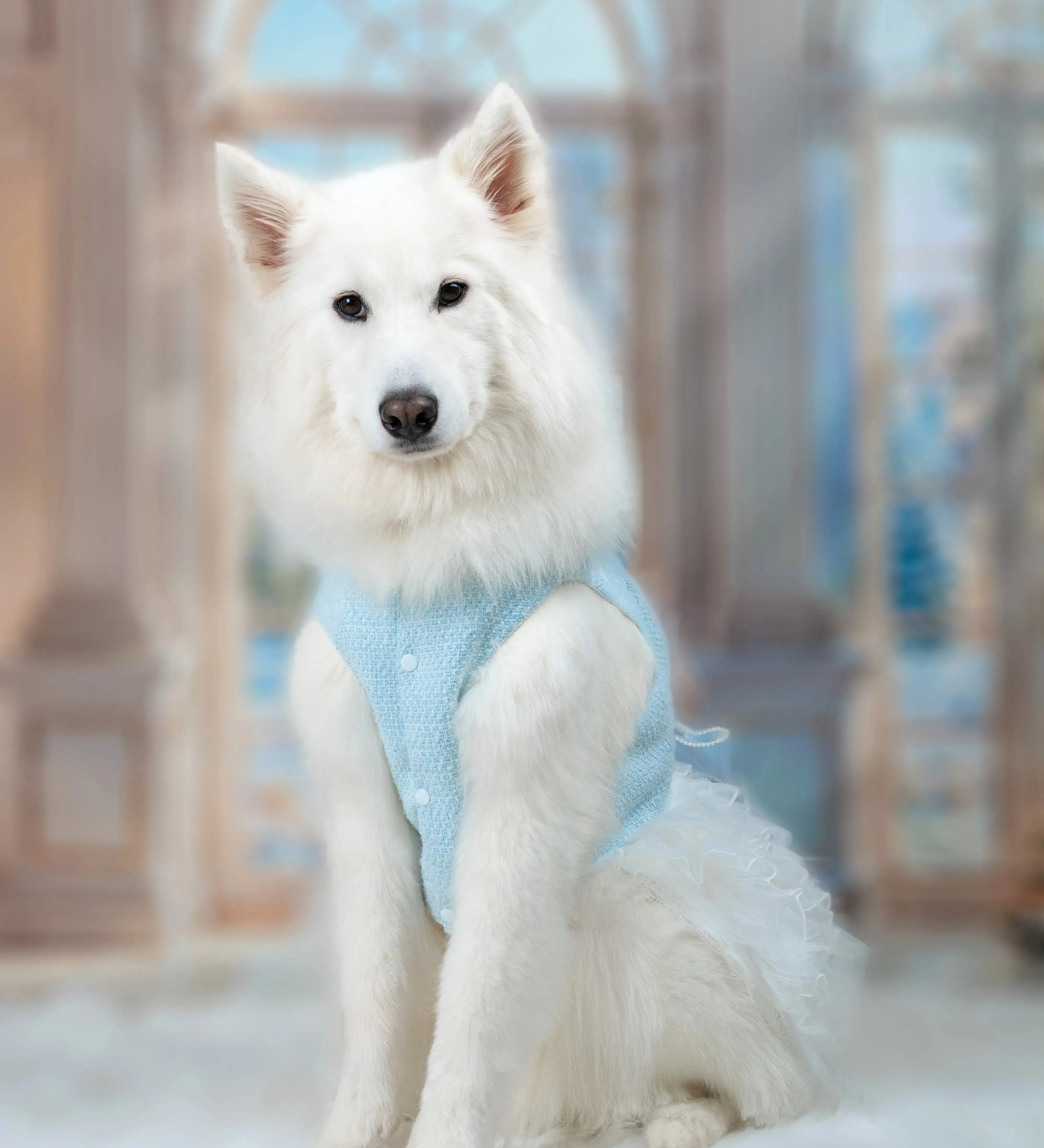 princess dog dress Customizable Costume Halloween, Dog Long Trailing Gown Blue Dress, Cat Dog Birthday Party Pets Clothes adding a regal touch to your pups ensemble Blueberry Pet My Little Princess