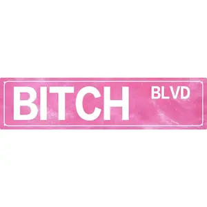 Retro Girl Pink Aluminium Metal Sign Bitch Blvd Bold Statement Wall Decor for Home Vintage Bar or Dorm Unique Gift Idea for Friends 4x16 in