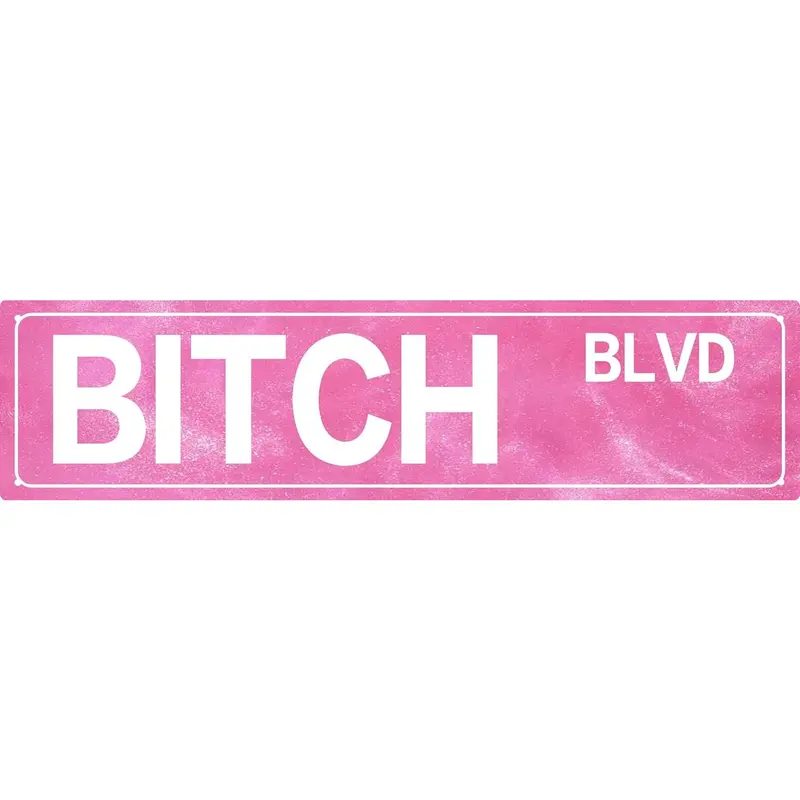 Retro Pink Aluminum Bitch Blvd Bold Statement Plaque - 4x16 in Aesthetic Home Sign, Cool & Unique Room Decor, Dorm-Bar Plaque Decorations, Unique Friend Gift for Bedroom