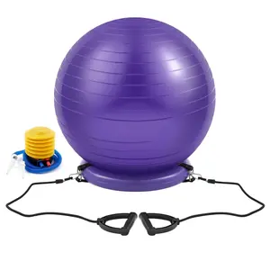 Yoga Ball Chair with Inflatable Stability Base, 65 Cm Large Exercise Ball, Home Workout, Office Desk Sitting, Gym Fitness, Includes Air Pump