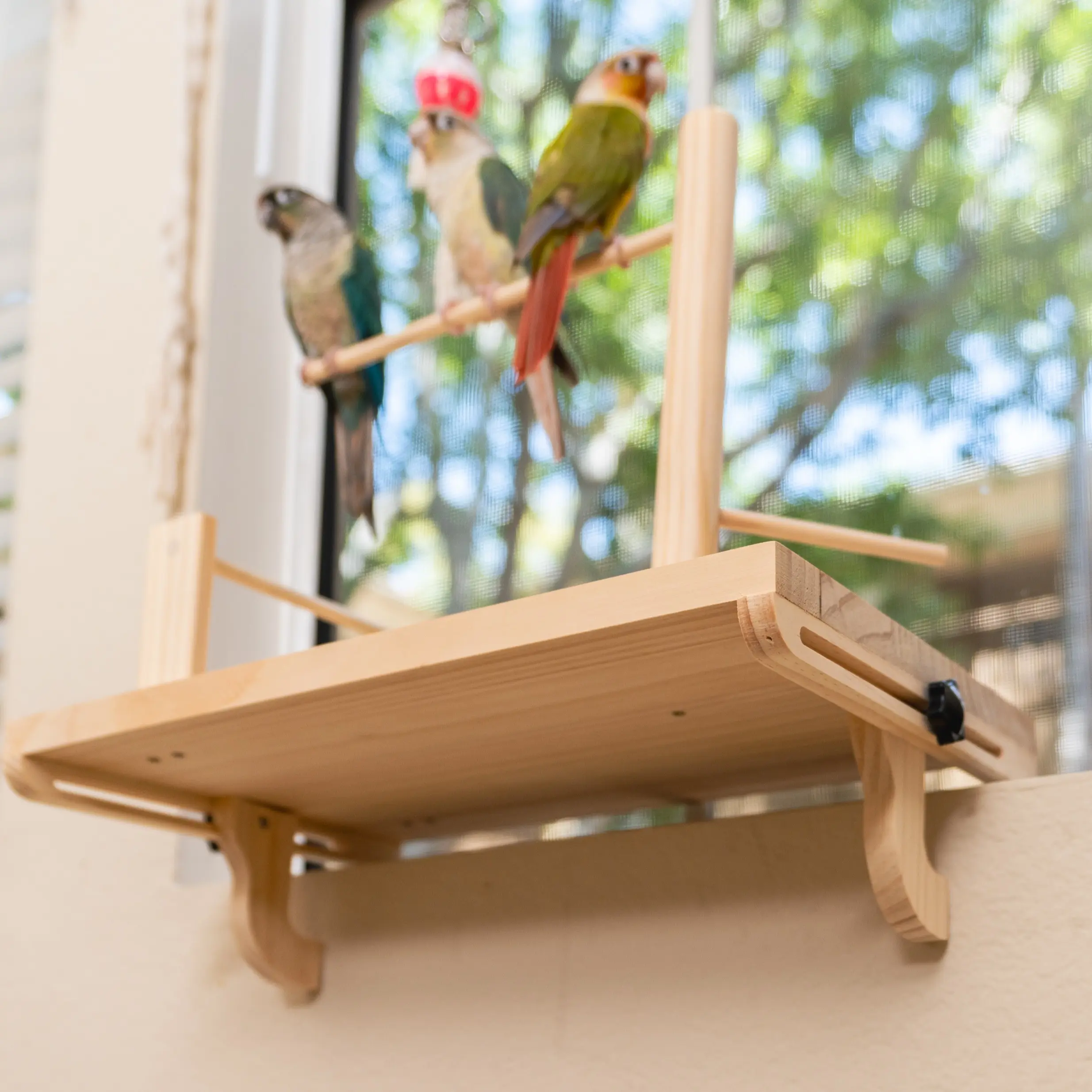 Window Bird Perch Stand — No Drilling, Clamps to Any Ledge — 3 Adjustable Rods for Conures & Cockatiels