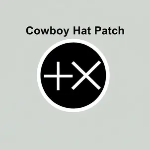 Positive Times (+X) Cowboy Hat Sticker / Patch Embroidered Patches