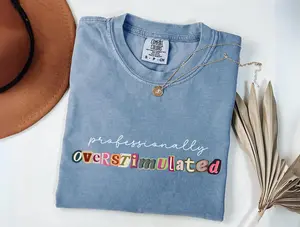 Comfort Colors Professionally Overstimulated Shirt, Teacher Tee, Funny Back To School Gift Educator, Retro Lettering T-Shirt, Y2K Aesthetic