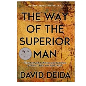 The Way of the Superior Man: A Spiritual Guide to Mastering the Challenges of Women, Work, and Sexual Desire (20th Anniversary Edition) by David Deida