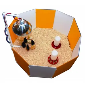 Farm Innovators-Farm Baby Chick Starter Home Orange & White 3700