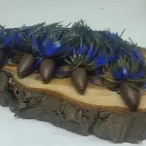 Fishing lures