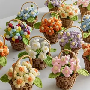 Handmade Crochet Flower Basket, 1 Count Cute Room Decor Mini Handmade Knitted Flower Potted Plant, Handmade Rattan Baskets, Creative Gift for Mother & Father, Home Decoration, Weaving Basket