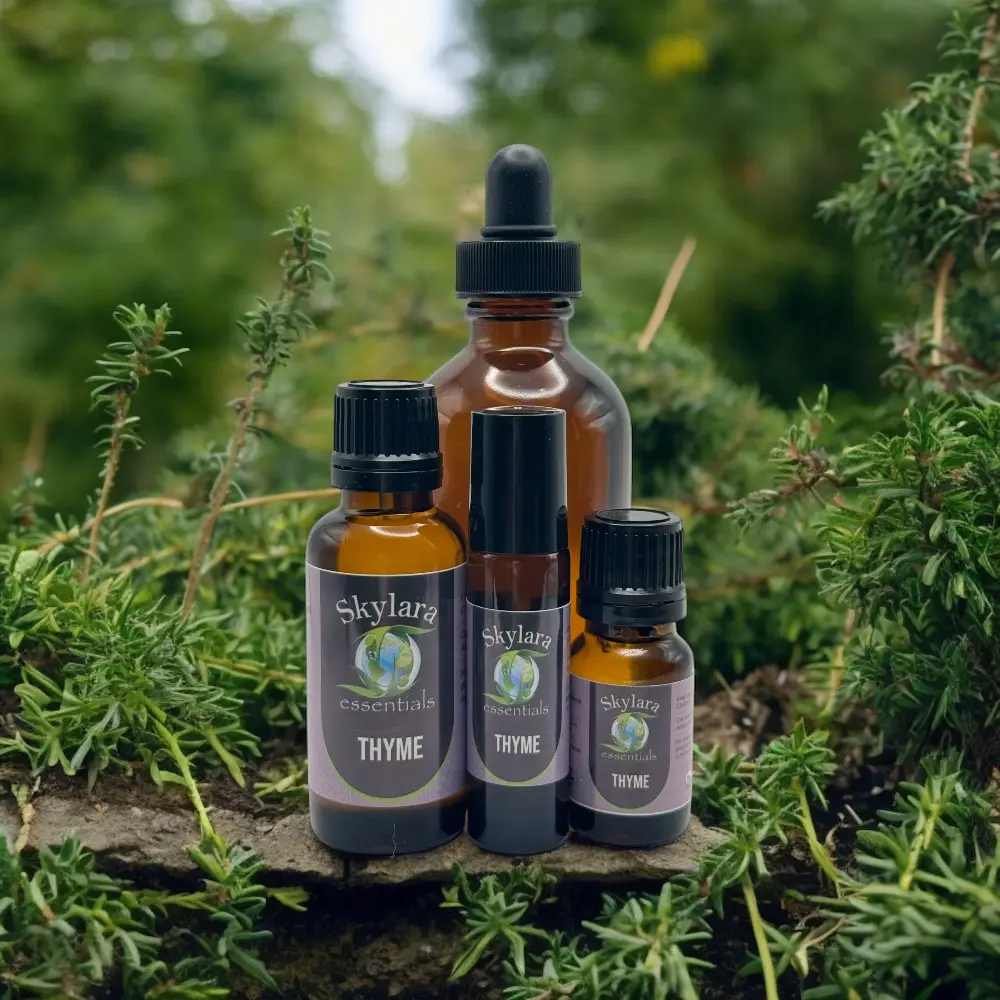 Organic Thyme Essential Oil Organic Thyme Essential Oil