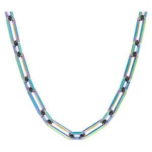 Steel by Design 17-3/4" Rainbow Paperclip Link Necklace