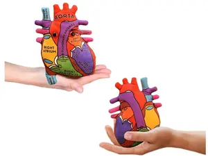 Heart Plush, Human Heart Model, Heart Anatomy Model, Real Heart Plush, 3D Heart Model Anatomy, Open Heart Surgery Gifts, Heart Transplant Gifts