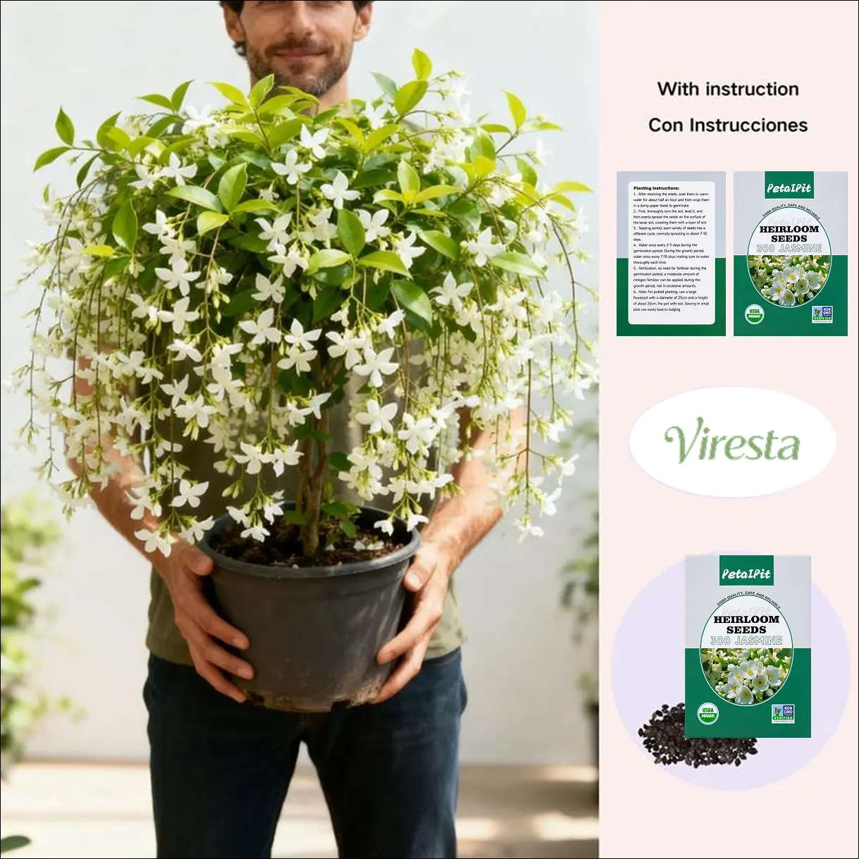 100 Climbing Jasmine Flower Seeds Fragrant Plant for Planting Garden Home Four Seasons Evergreen Silver Jasmine Garden Balcony Climbing Flower Non-GMO