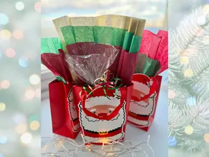 Christmas Goodie Bag Holiday Candy Gift Bag Kids Party Favor Santa Treat Bag with Chocolates Cookies Stocking Stuffer