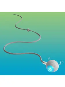 Rechargeable Interactive Cat Toy Ball with Tail